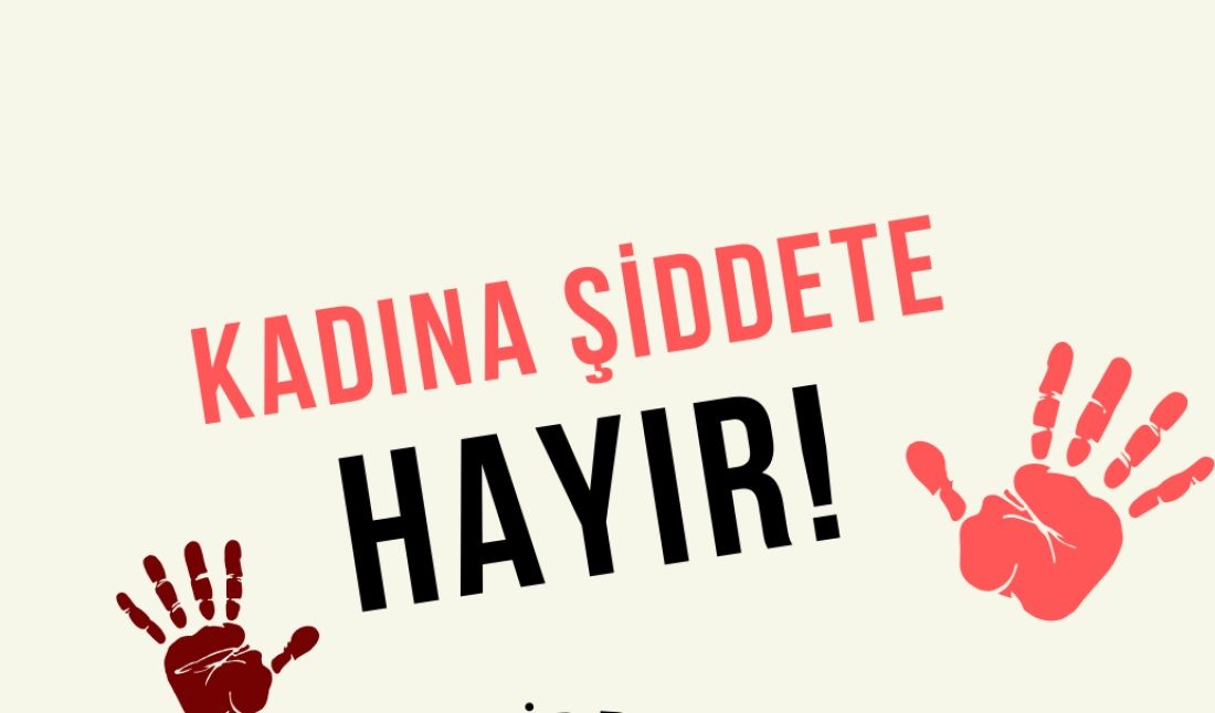 Türkiye Büyük Millet Meclisi’nde kadına yönelik şiddet ve ayrımcılıkla mücadeleye