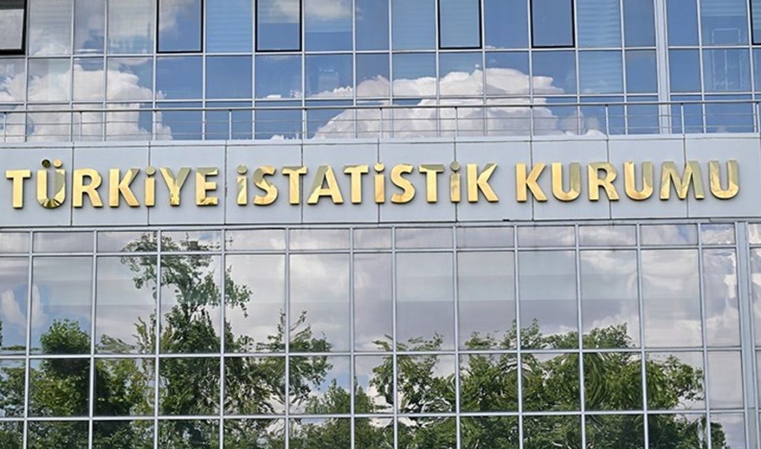 Türkiye İstatistik Kurumu (TÜİK), Mayıs 2025 dönemine ilişkin ücretli çalışan