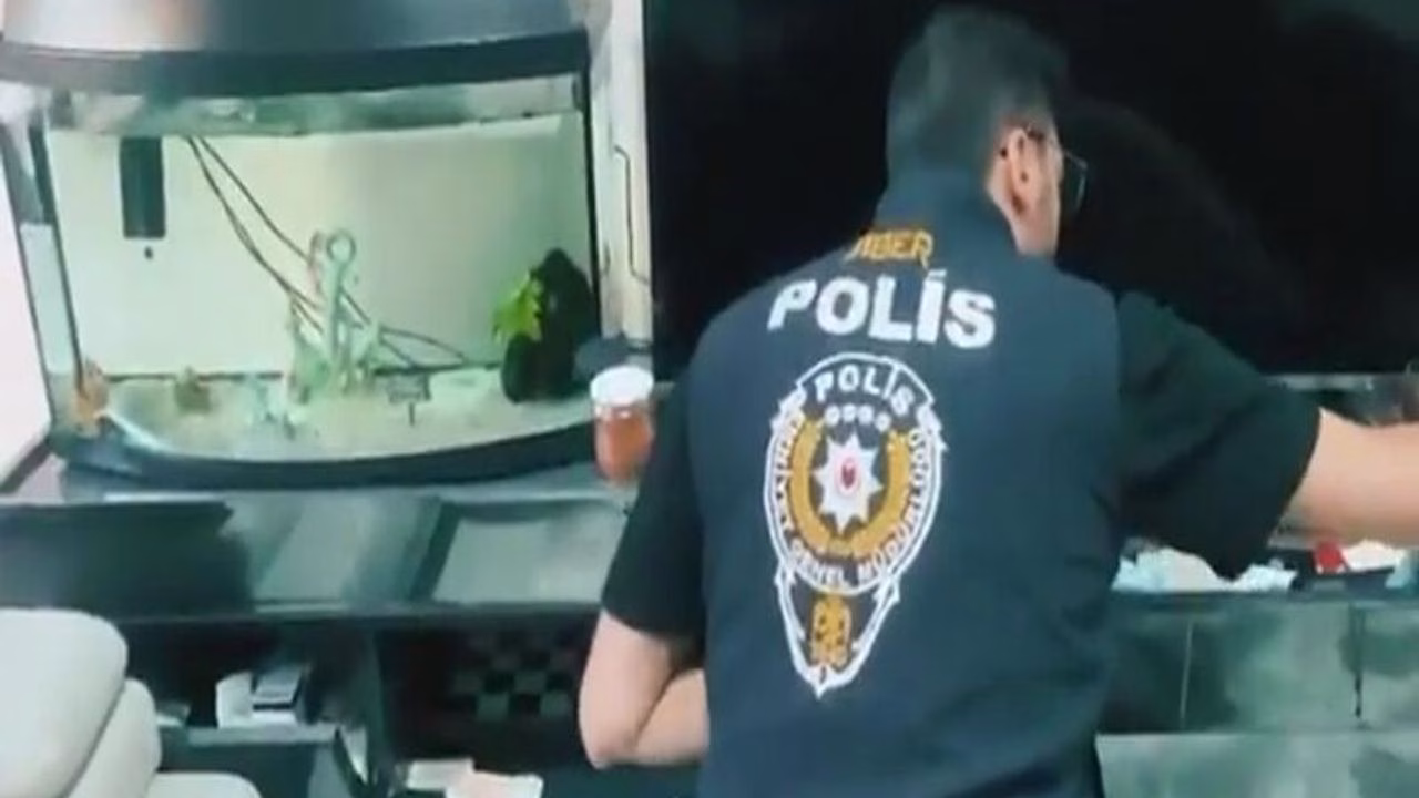 Ankara-BHA 18 il merkezli “Çevrim İçi Çocuk Müstehcenliği ve Tacizi,