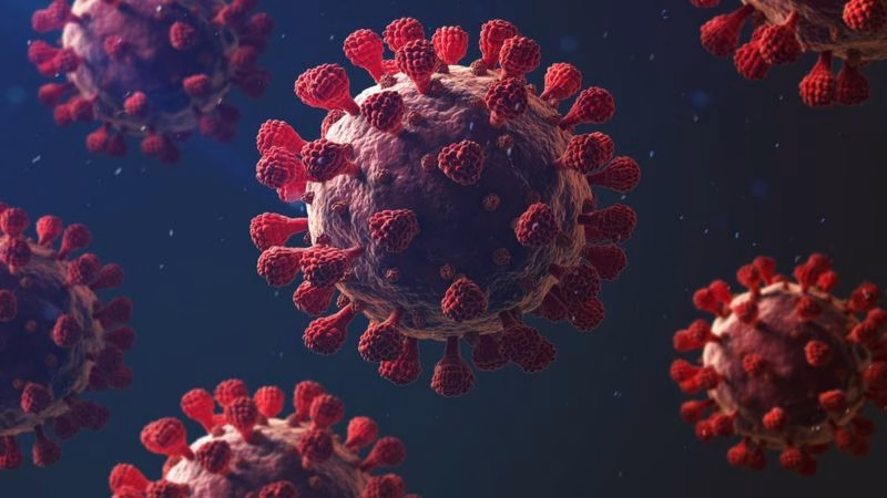Hindistan’da tespit edilen yeni Nipah virüsü vakaları sonrası Asya ülkeleri
