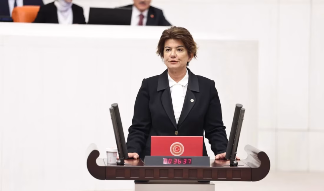 ANKARA – BHA AK Parti Diyarbakır Milletvekili Suna Kepolu Ataman,