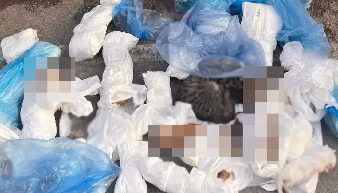 İZMİR-BHA Buca ilçesi Adnan Kahveci Caddesi’nde yaşanan olay, sosyal medyada