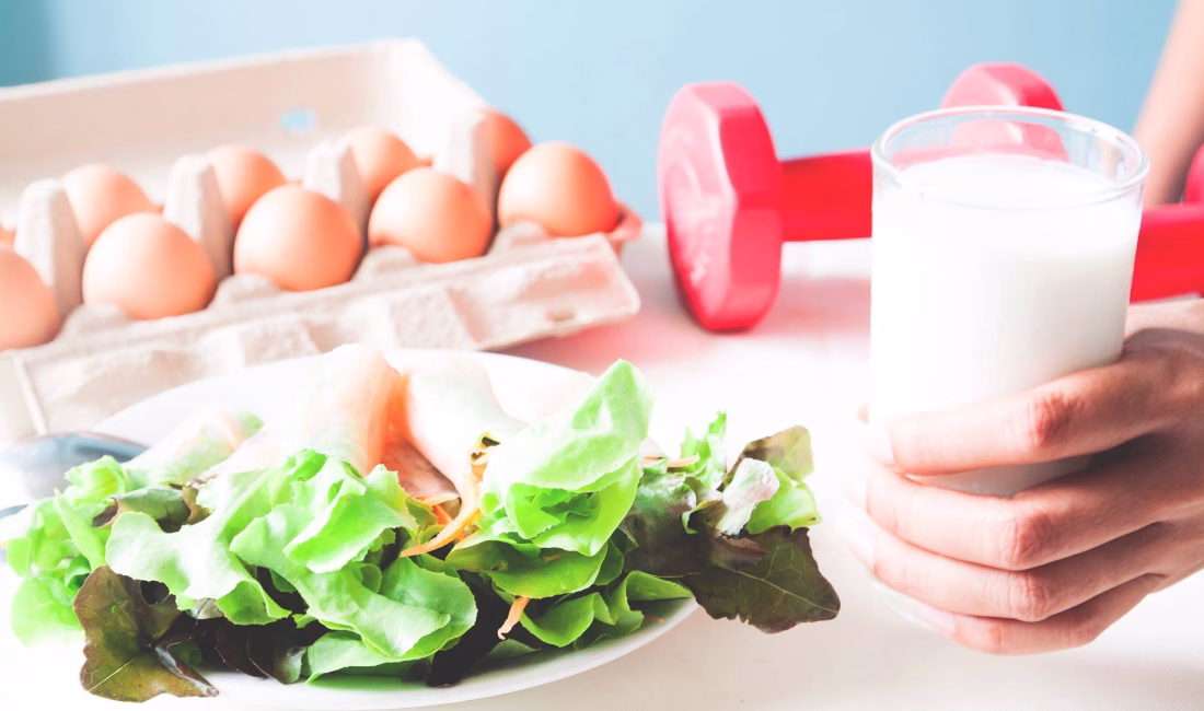 Besinlerle alınan proteinler, sindirim sistemi boyunca daha küçük yapılara parçalanıyor