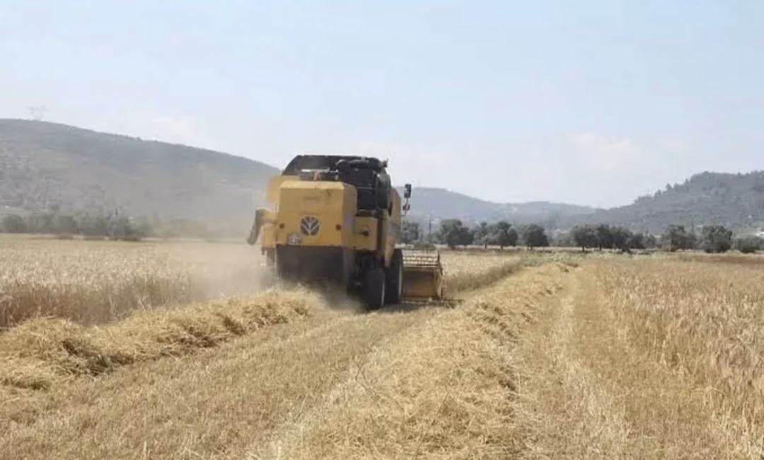 ANKARA – BHA Tarım ve Orman Bakanı İbrahim Yumaklı, sosyal